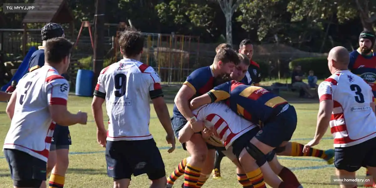 南宫NG28🧗‍♂️向上攀登，向下扎根，体育教会我们永不言弃！